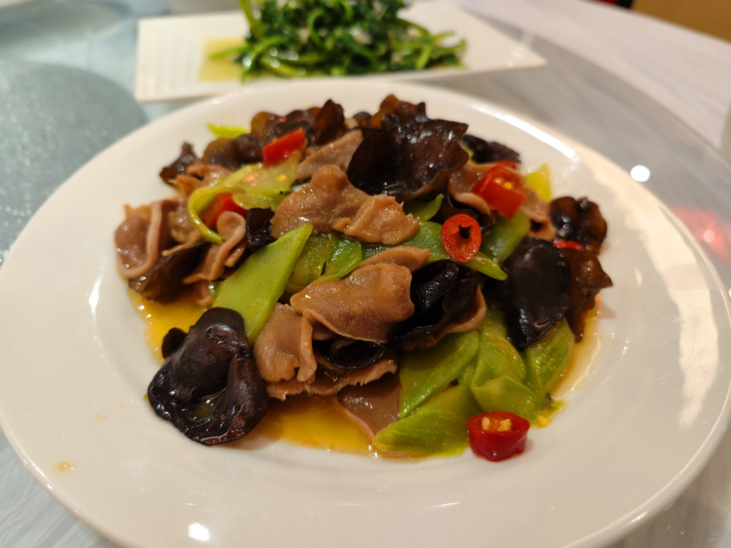 IMG_20230513_222337_副本