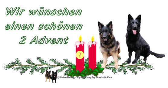 An den Beitrag angehängtes Bild: https://i.postimg.cc/763JyrbJ/2advent2021.png