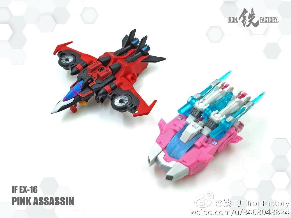 13710583_1057724497647292_1963578801990106963_o