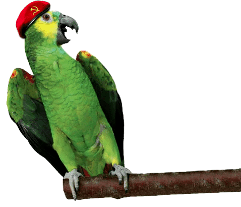 loro-r-pido.gif