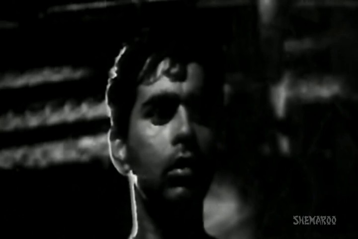 Mela-1948-DVDRip-Hindi-480p-AVC-AAC-2-0-ESub-mkv-0003