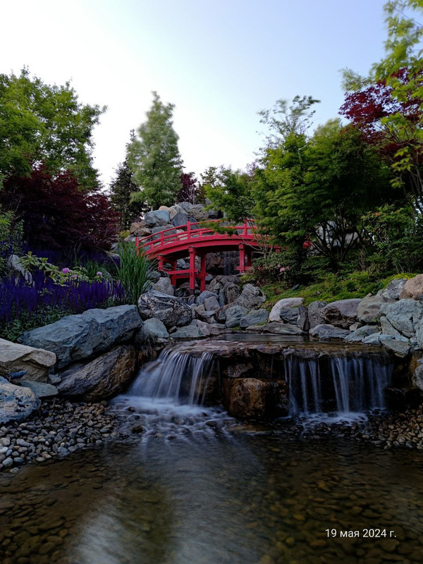 IMG_20240520_080611_772