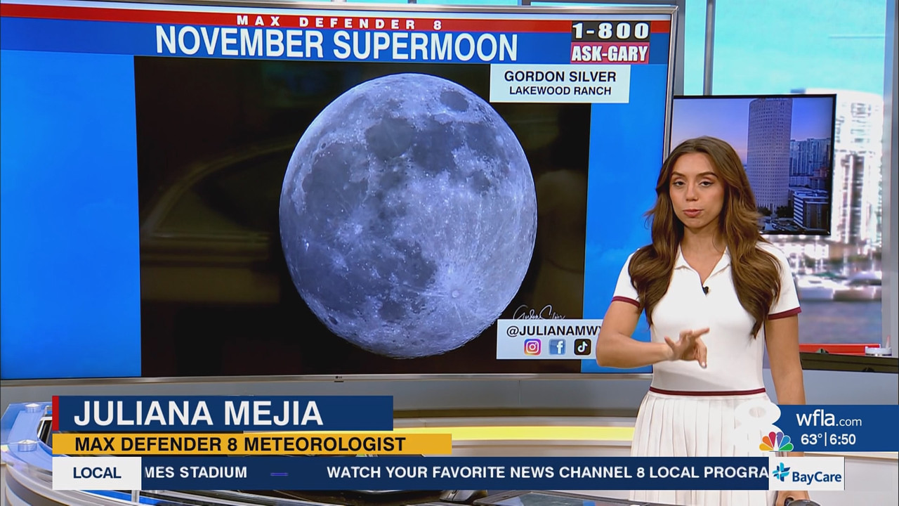 News Channel 8 Today at 6a 20251105 11001200 ts snapshot 00 52 02 747