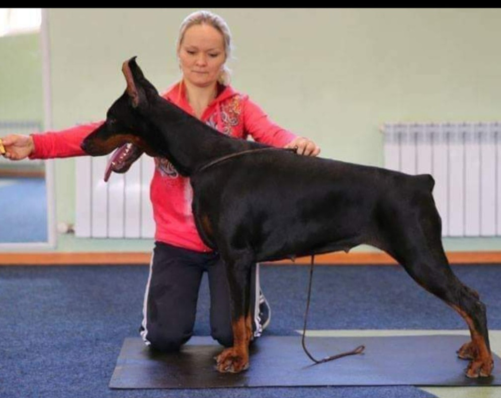 Screenshot_20240116_071247_Gallery