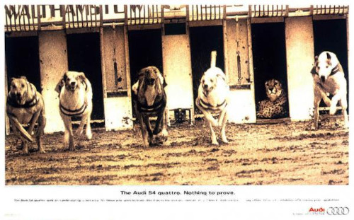 20240131-audi-ads-cheetah-greyhound-race