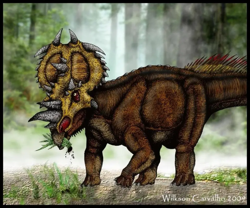 Pachyrhinosaurus_canadensis_by_WilkSaur