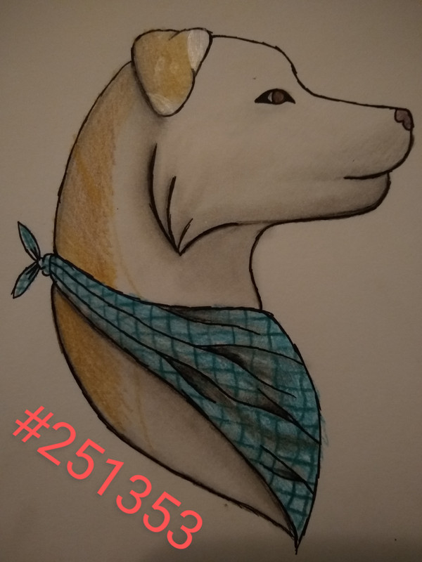 D5B204C6-B90D-48EF-85E6-41B797AA0D08