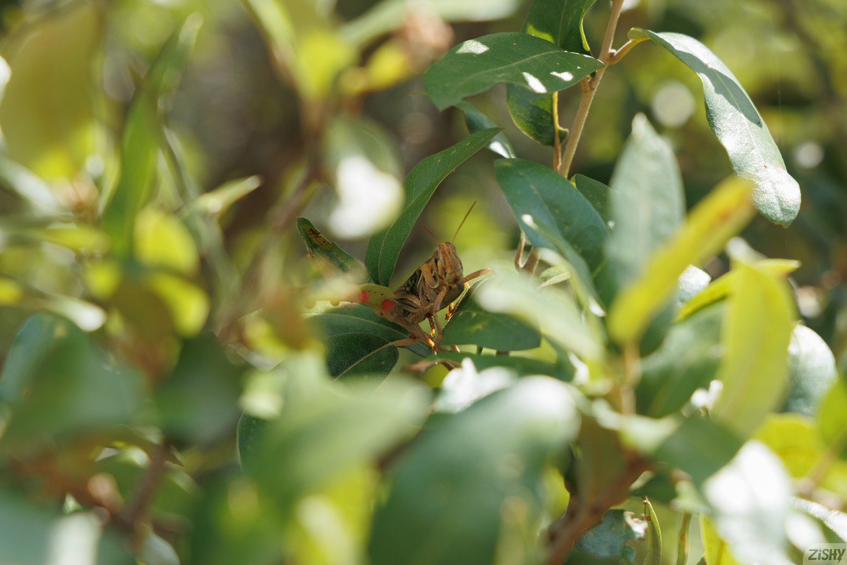 full_040_1214219951123610