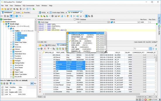 DbVisualizer Pro 10.0.18 macOS. DbVisualizer Pro 10.0.18 macOS.