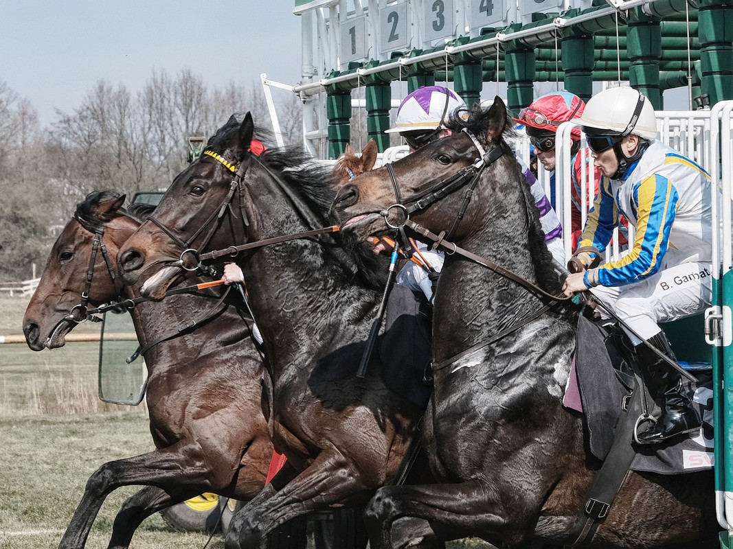 6 Famous Musicians Who Enjoy Horse Races