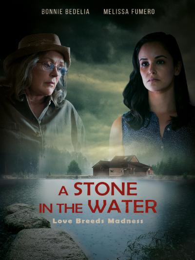 A-Stone-in-the-Water-2019-1080p-WEB-DL-DD5-1-H264-CMRG.jpg