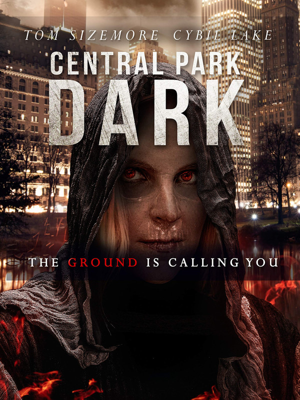 Download Central Park Dark 2021 BluRay Dual Audio Hindi ORG 720p | 480p [300MB] download