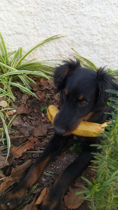 photo_2023-03-24_08-06-55 (7)