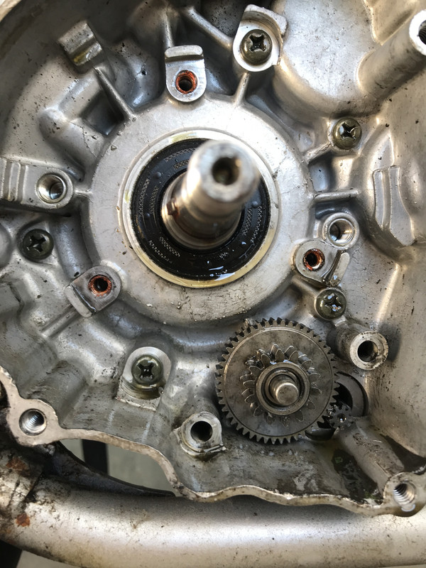 962B4812-8569-410E-85F6-83B374D6A1BC