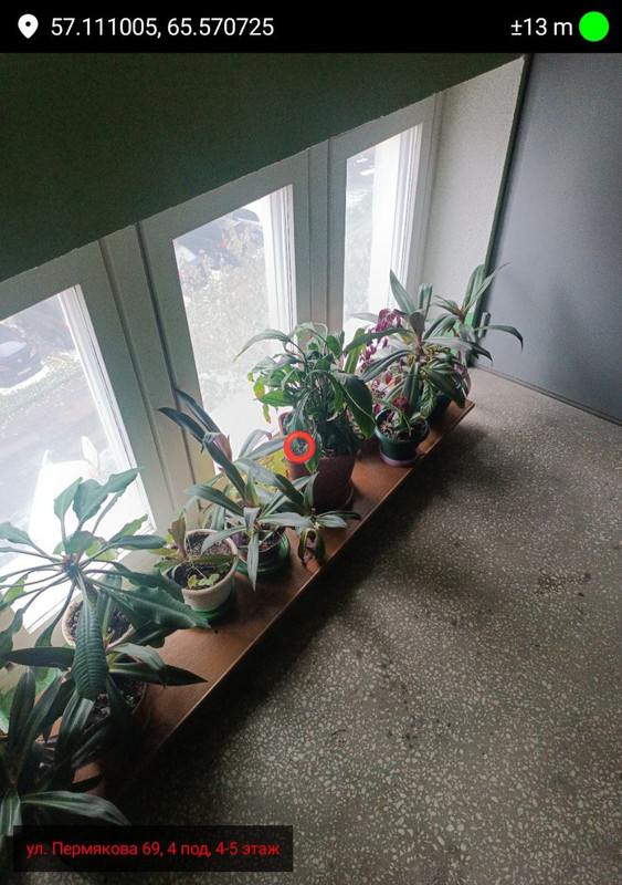 photo 2025 11 07 10 12 43