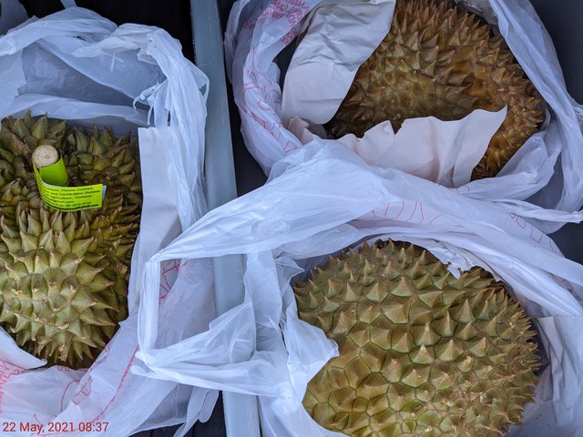 [Image: PXL-20210522-123723584.jpg]