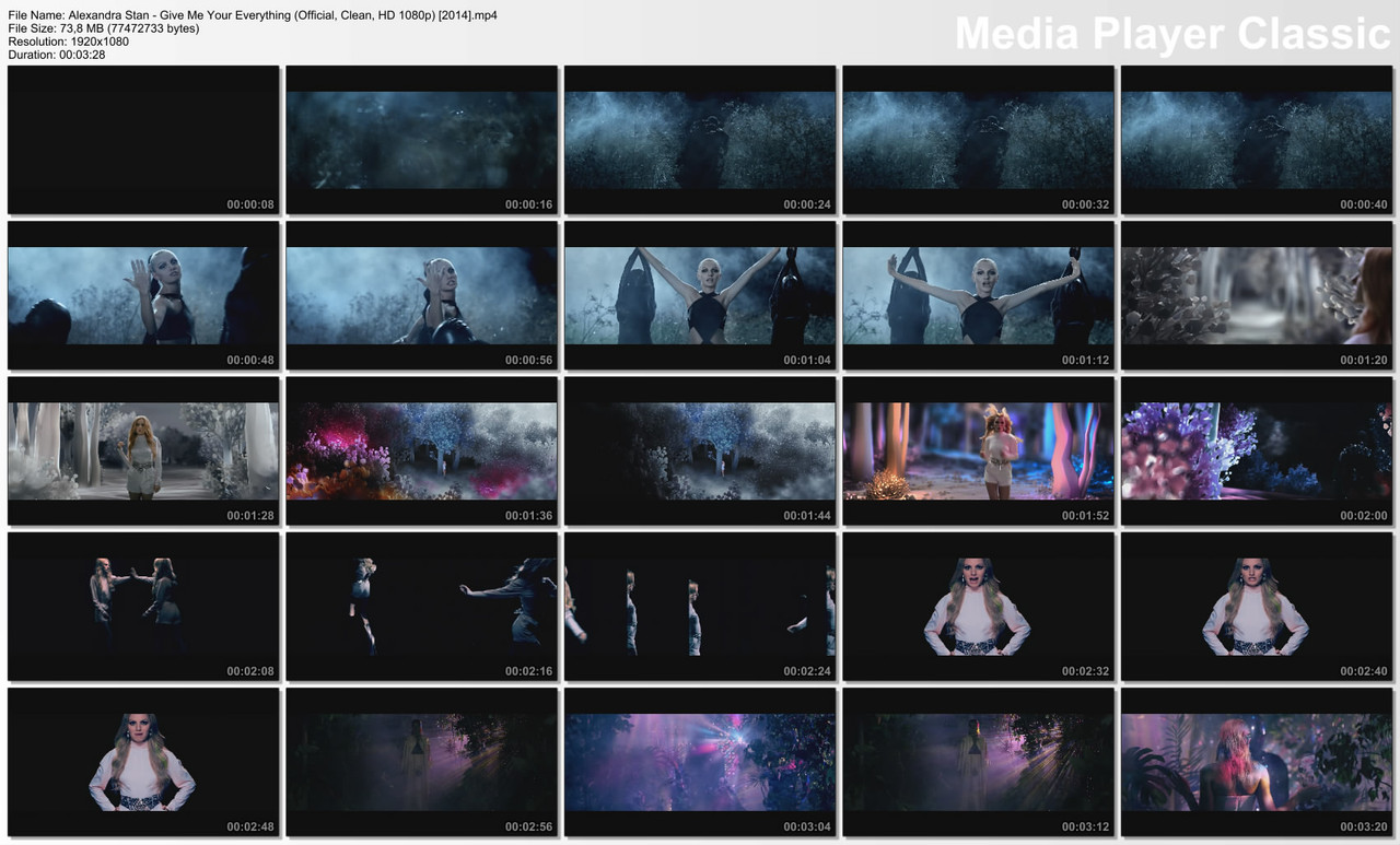 Alexandra Stan - Give Me Your Everything (Official, Clean, HD 1080p) [2014]
