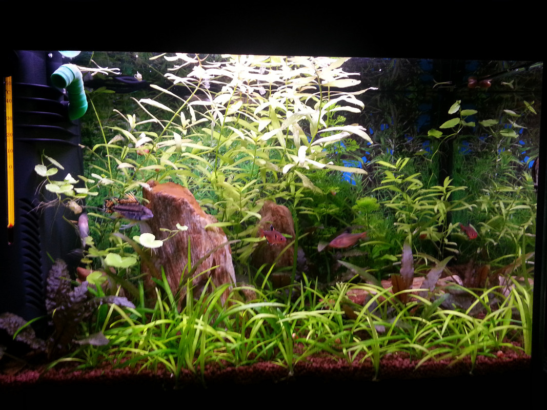 20B4D2F1-7120-4248-9B24-BFC24921E865