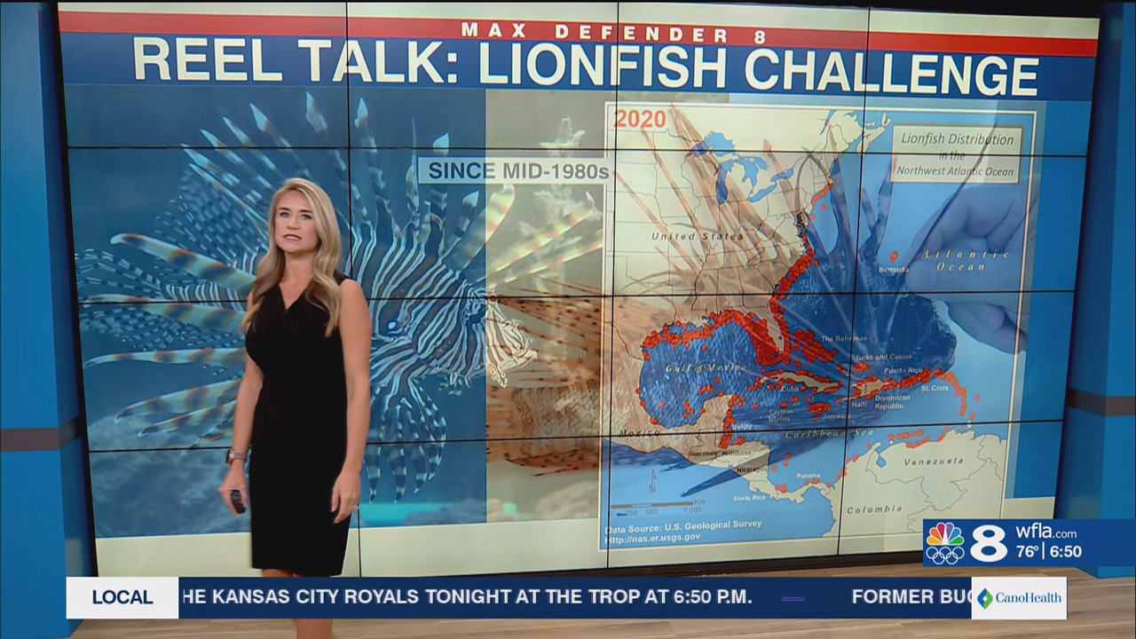 NewsChannel 8 Today at 6a_20240524_11001200.ts_snapshot_00.51.26.031