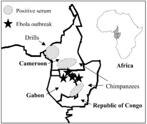 Republic-of-congo-ebola