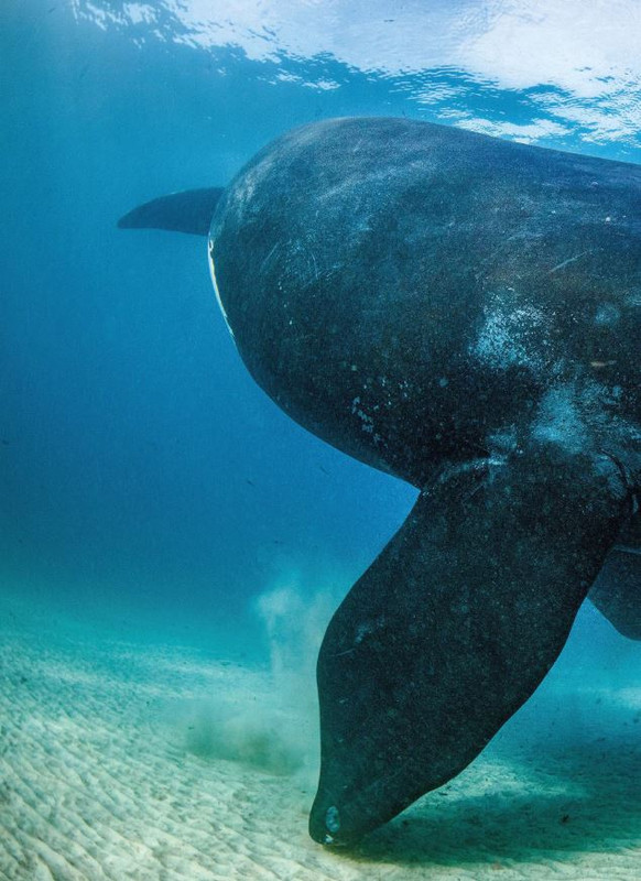 Foc Wil - Ott 2023 (5)