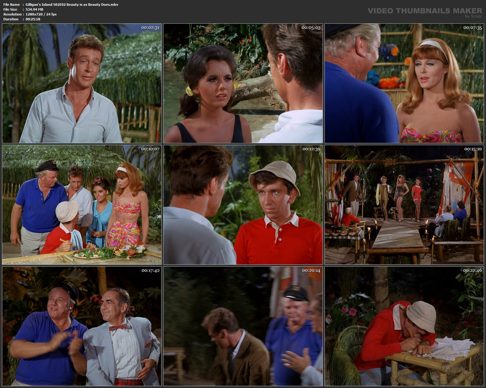 Gilligan's Island S02E02 Beauty is as Beauty Does.mkv