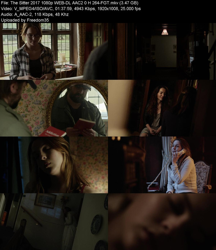 The-Sitter-2017-1080p-WEB-DL-AAC2-0-H-26