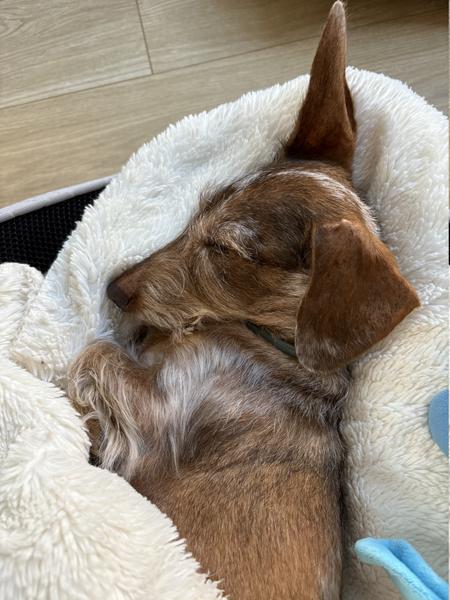 [Image: IMG-0888.jpg]