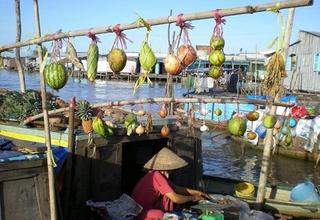 Thơ hoạ Nguyễn Thành Sáng & Tam Muội (1213) Doc-dao-cay-beo-trong-cac-cho-noi-mien-tay
