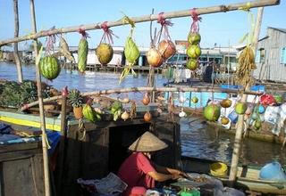  Thơ hoạ Nguyễn Thành Sáng & Tam Muội (1213) Doc-dao-cay-beo-trong-cac-cho-noi-mien-tay