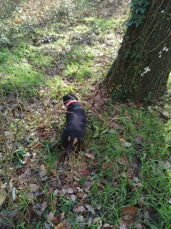 [Image: IMG-20230115-145807.jpg]