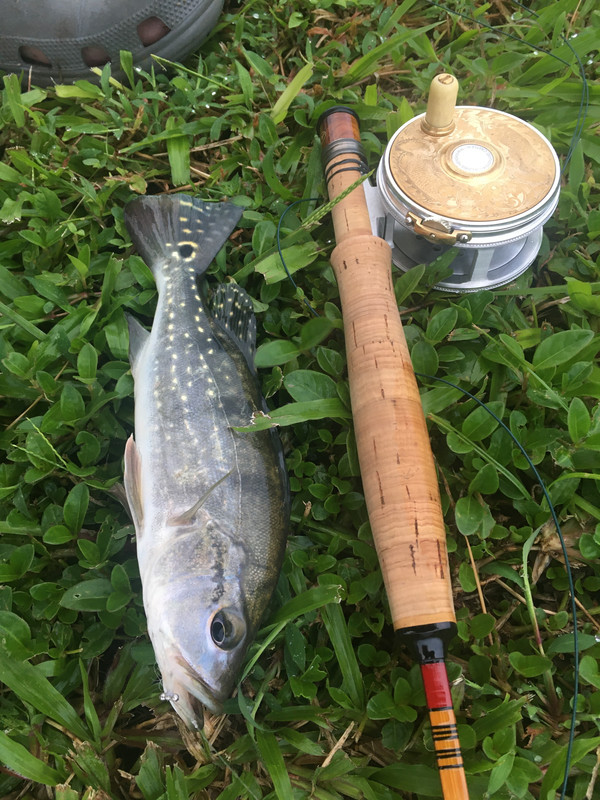 05296101-0042-497D-9355-9FBAEF50F2A4