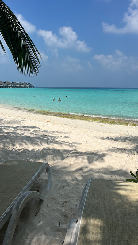 381B4F39-A690-4B36-99A5-BB0416152C0C