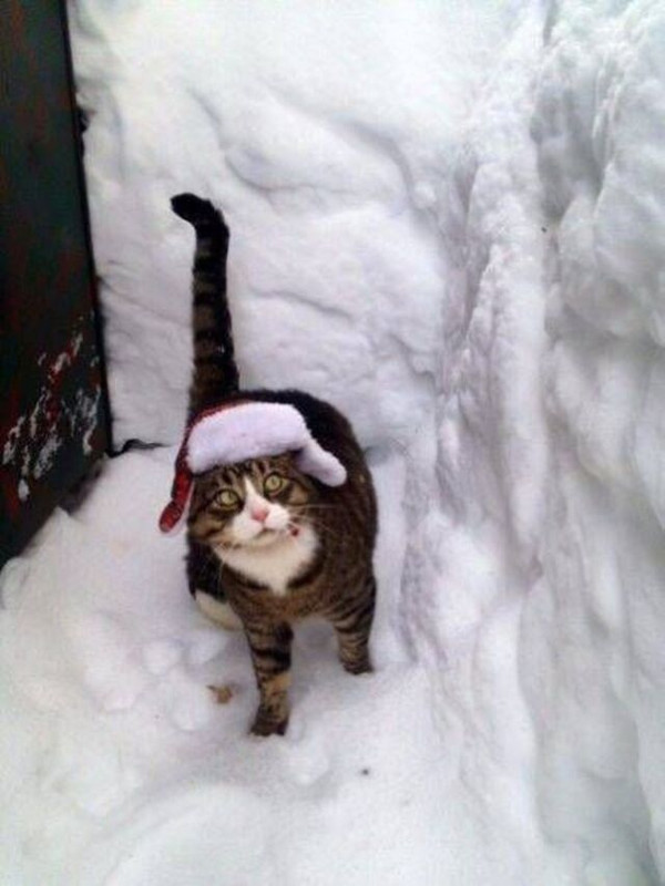 picdump-kw51-2025-021.jpg