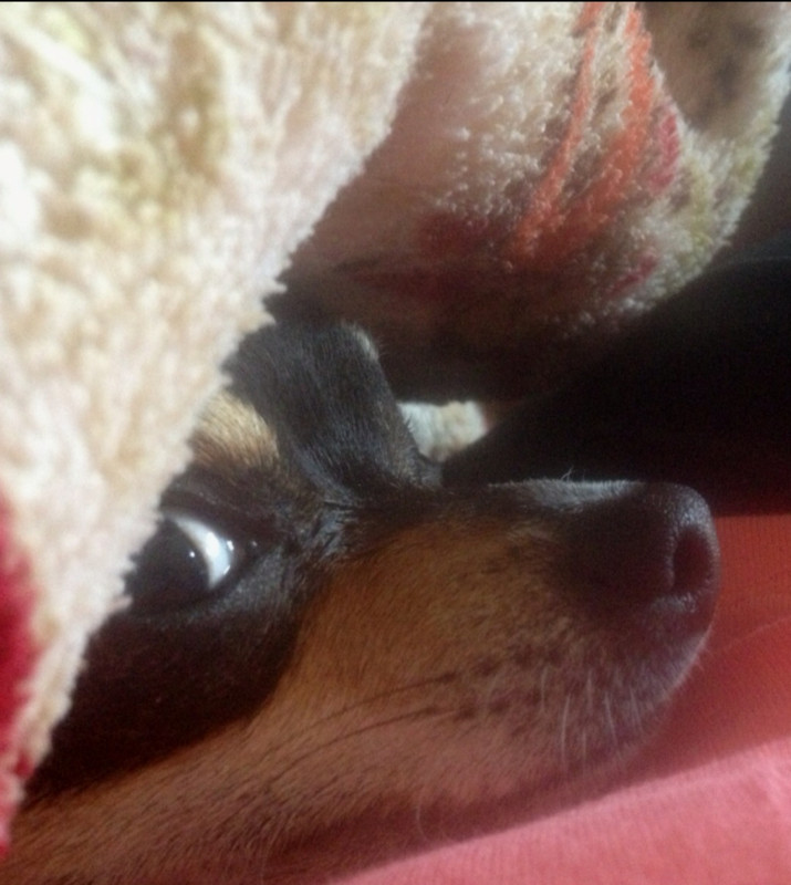 Screenshot 20260124 101659 Gallery