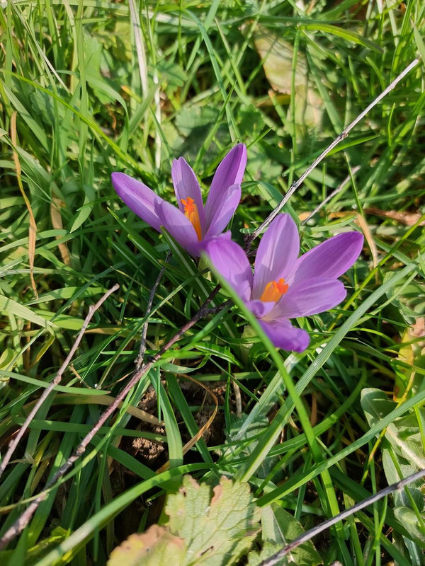 FB-IMG-1708557442718