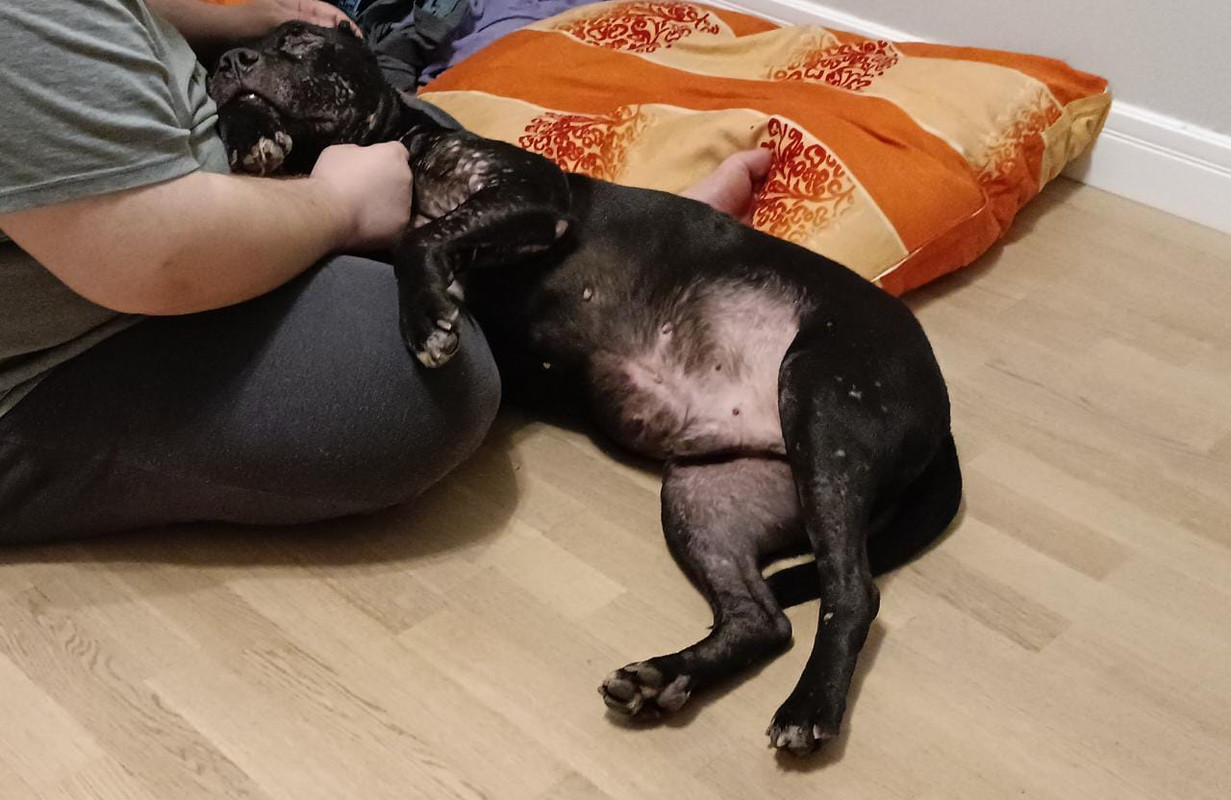 641DD025-9E8E-4604-8CF5-38E7D0EAB9D0