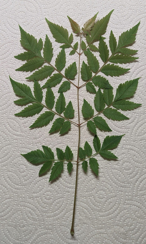 PXL_20230328_071854558.PORTRAIT