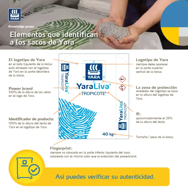 Branding Regional YARA