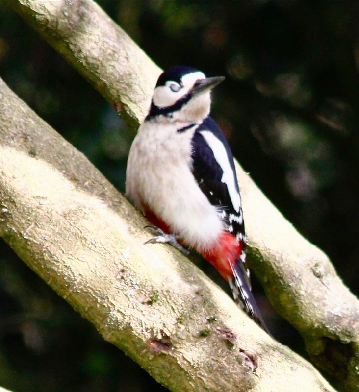 A231F399-7B98-4F00-9E42-F086DCC3CF98