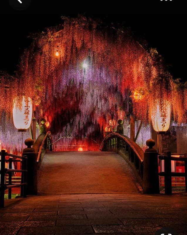 Screenshot_20230817_000017_Pinterest