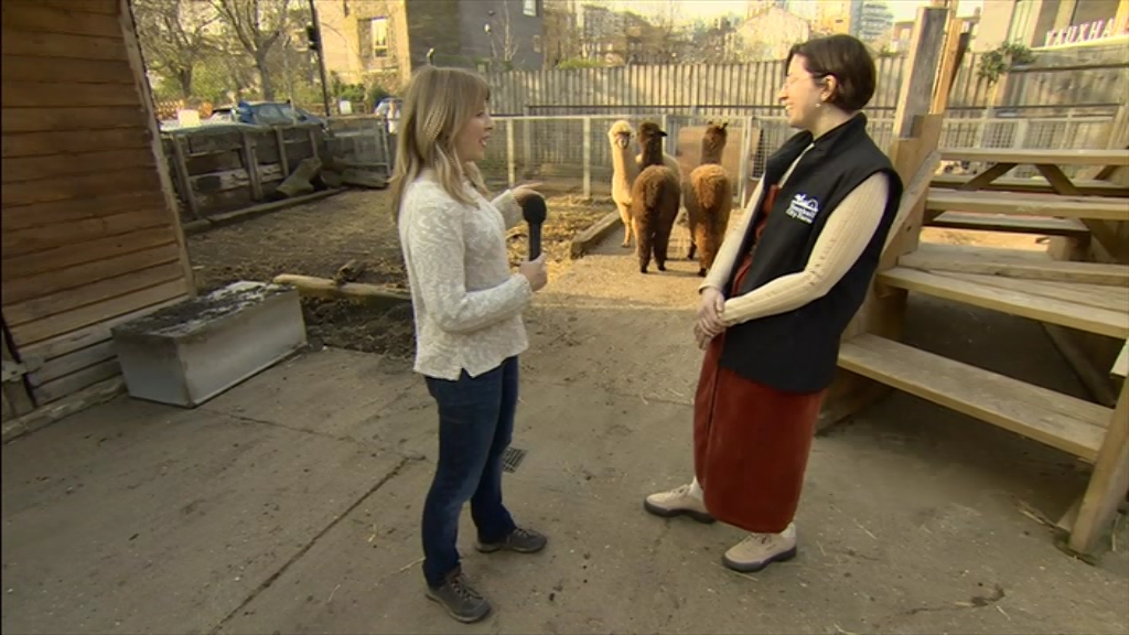 BBC London News_20220324_18301900.ts_snapshot_23.53.844