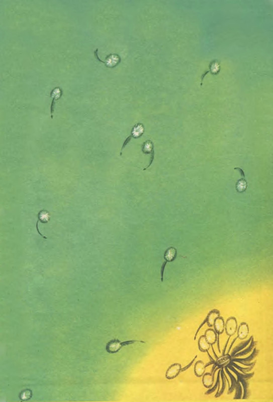 p0020