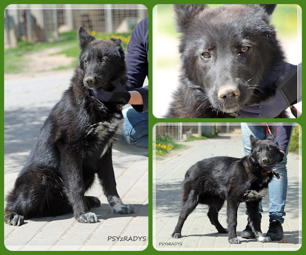 BeFunky-collage (18)