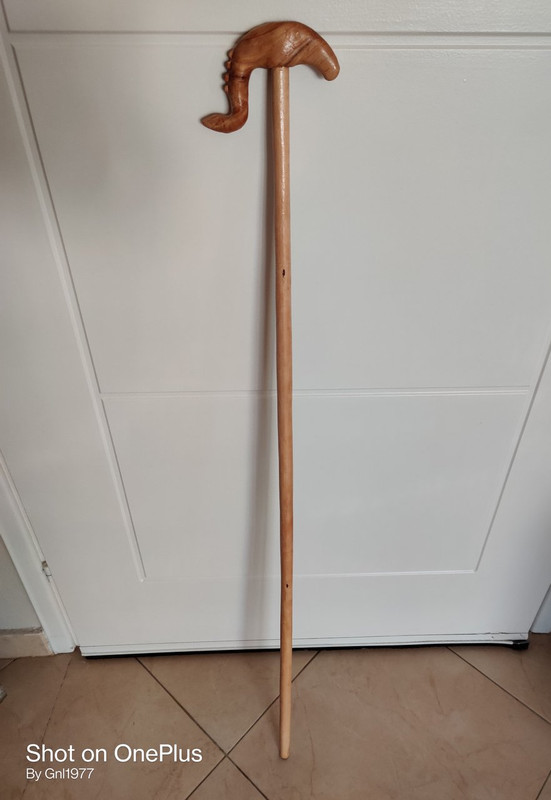 IMG_20220427_193822__01