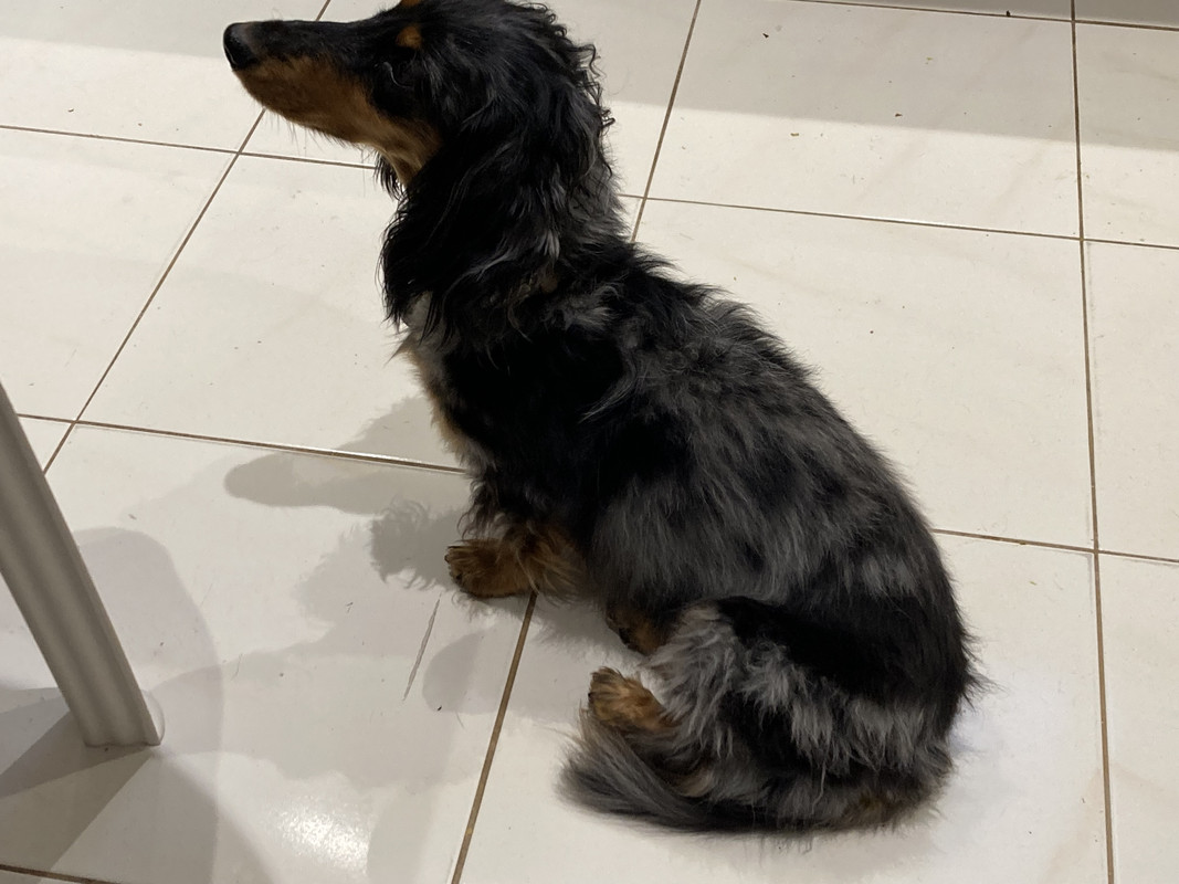 [Image: IMG-3949.jpg]