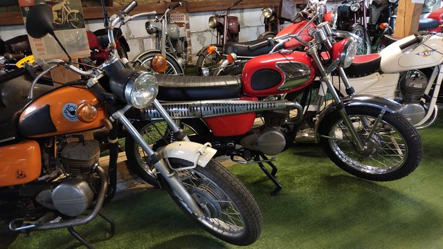 450909825_1248056206372765_2236312472133494592_n