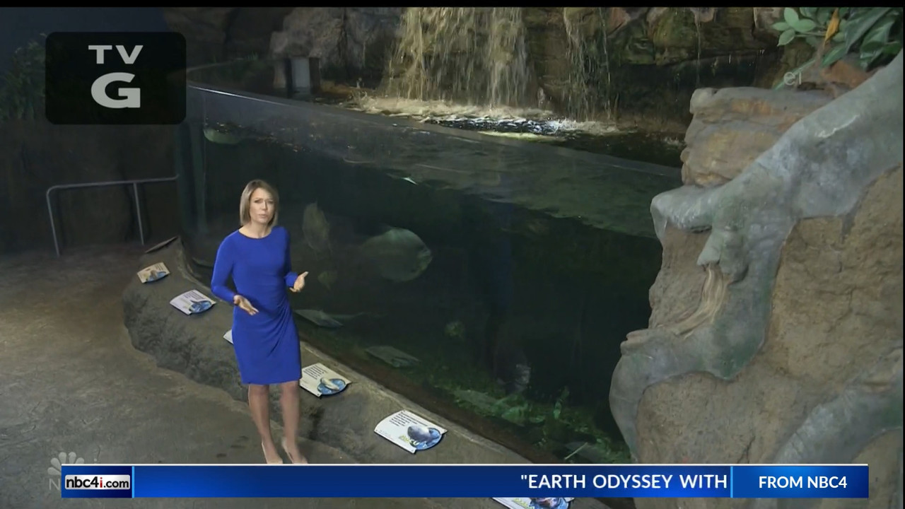 11.07 - 15.00.00 - Earth Odyssey With Dylan Dreyer. The world's smart....ts_snapshot_00.25.00.506