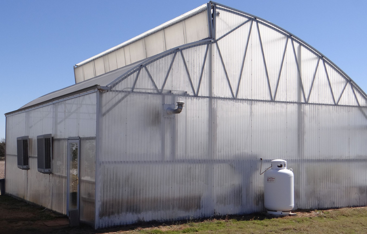 Greenhouse#3
