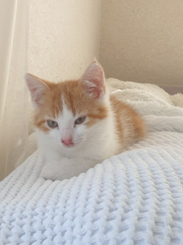 89DF6B48-BA68-472B-8937-FD22E34076D5